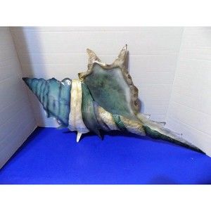 NEW Conch Seashells Wall Art Coastal Home Decor Philippines
